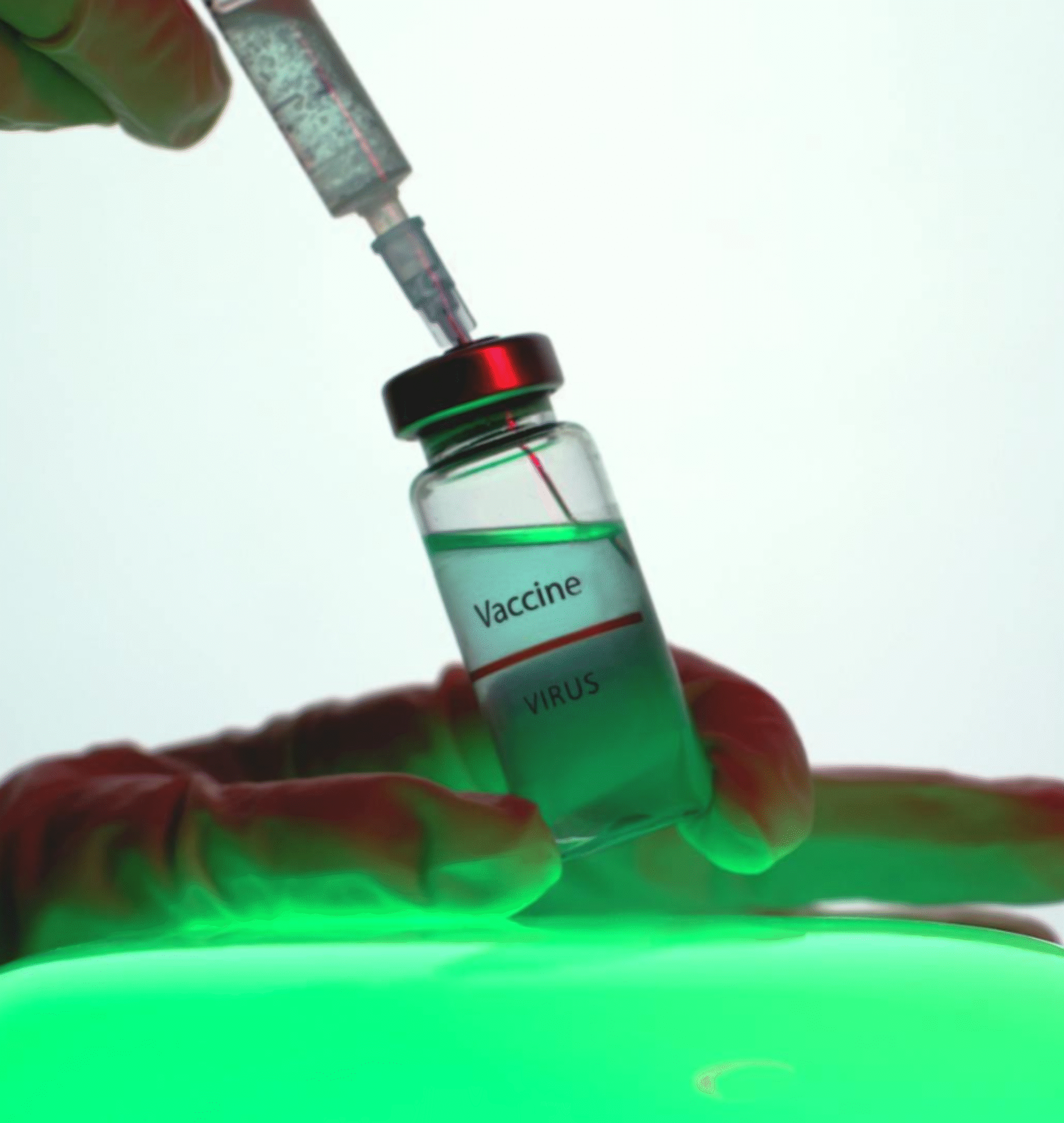 International Health Initiatives and Disease Prevention